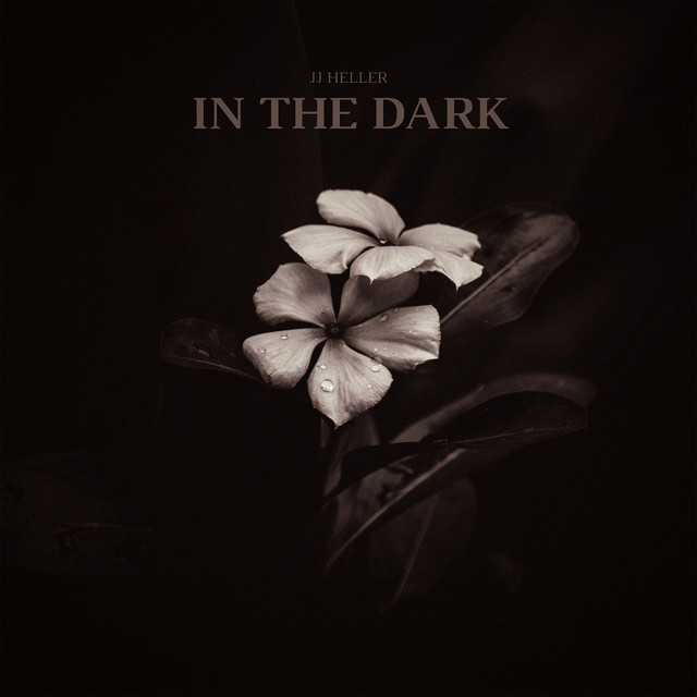 A cover image for In the Dark by JJ Heller